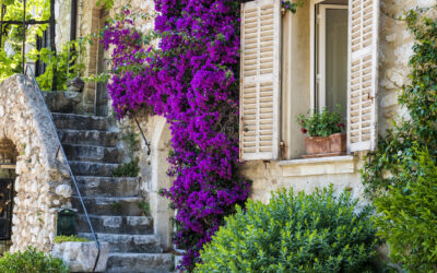 Frühling in der Provence
